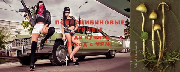 таблы Алексеевка