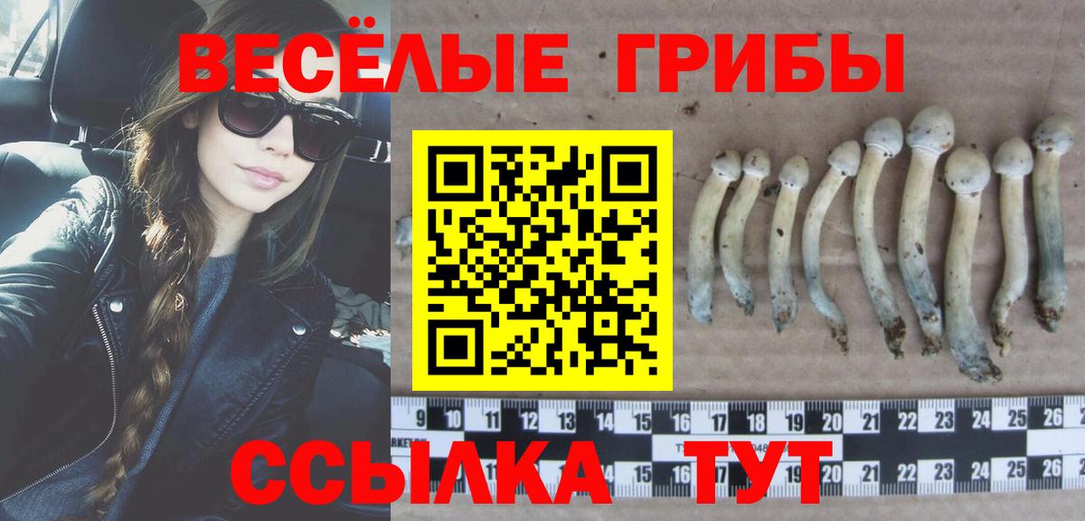 Псилоцибиновые грибы мухоморы  Псилоцибиновые грибы MAGIC MUSHROOMS  Вход с VPN  Борзя 